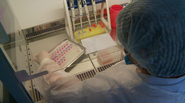 Фото: ИА "Тюменская линия"