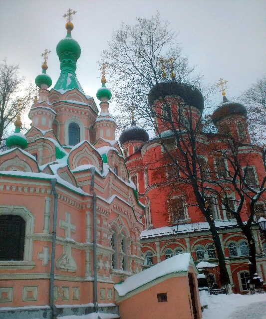 Донской монастырь в Москве некрополь