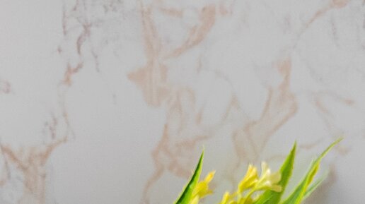 Бочонок мыла | Ролики — короткие видео?