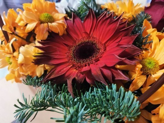     Хабаровский край отметит девятую годовщину воссоединения Крыма с Россией / Ольга Григорьева