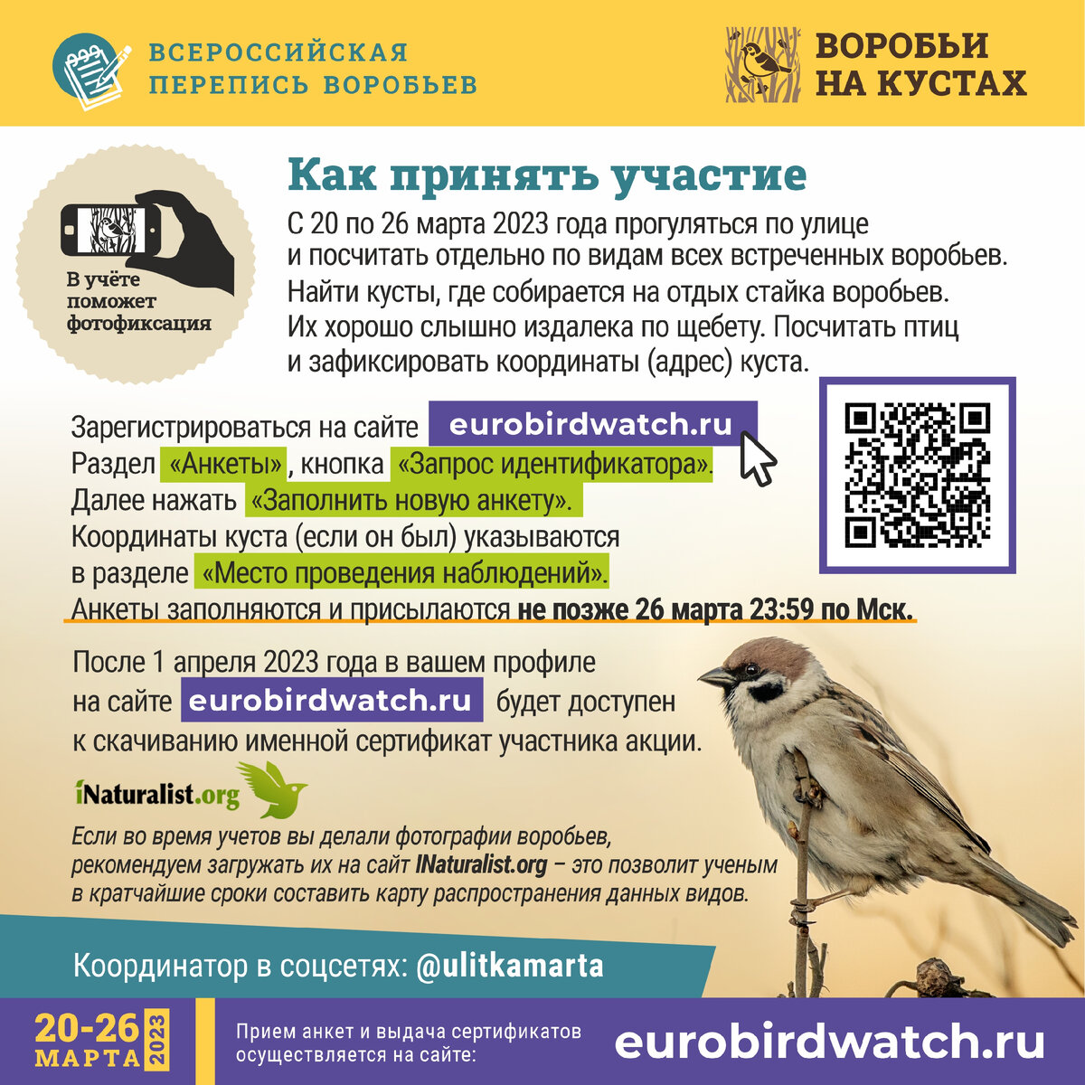 Всероссийская перепись воробьев | Улитка Марта - понятная биология | Дзен