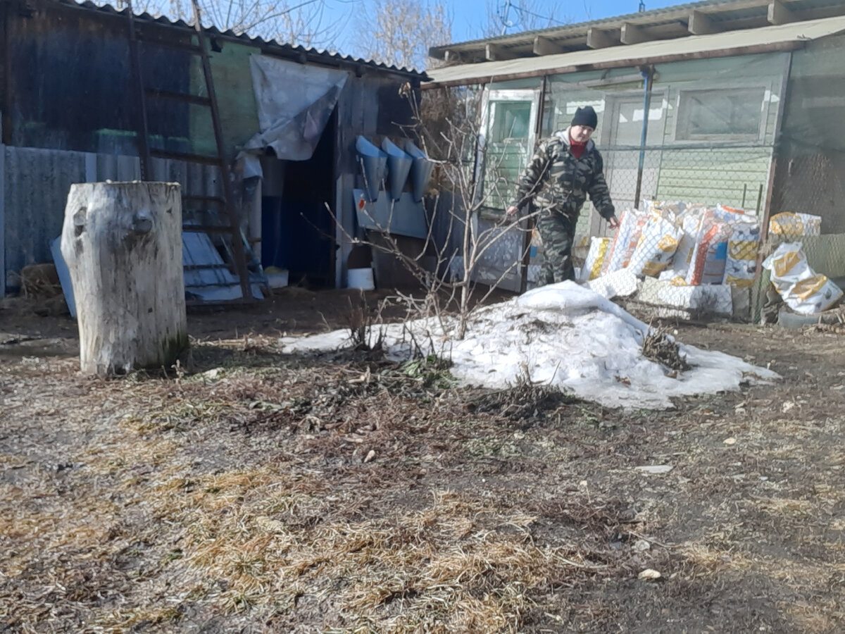 фото автора. 