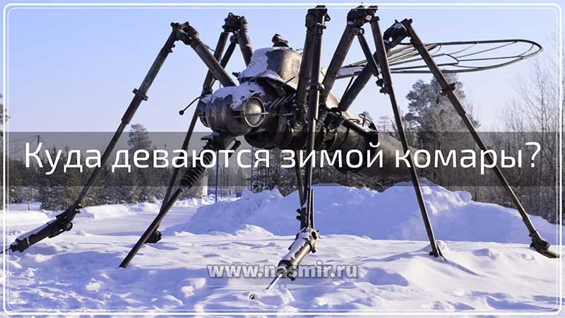 Железный комар.