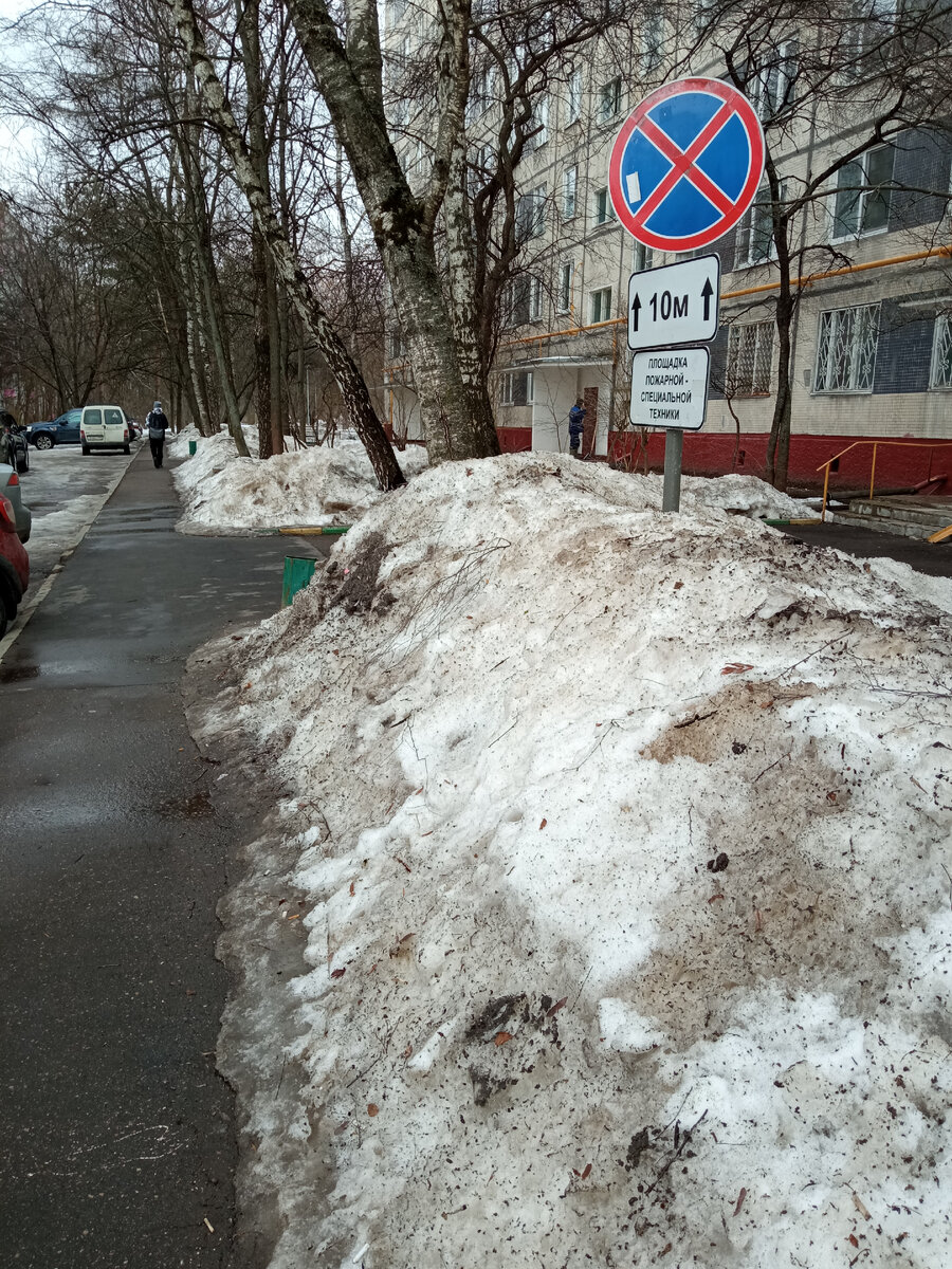 В Москве наконец-то настоящая весна. Но не везде. | Цветник для начинающих  | Дзен