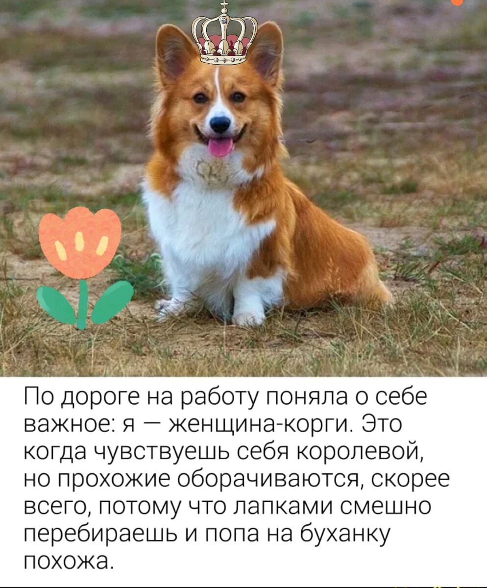 Фото в обработке автора