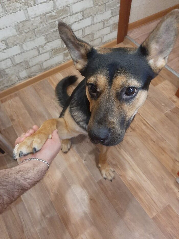 Листайте вправо, чтобы увидеть больше изображений