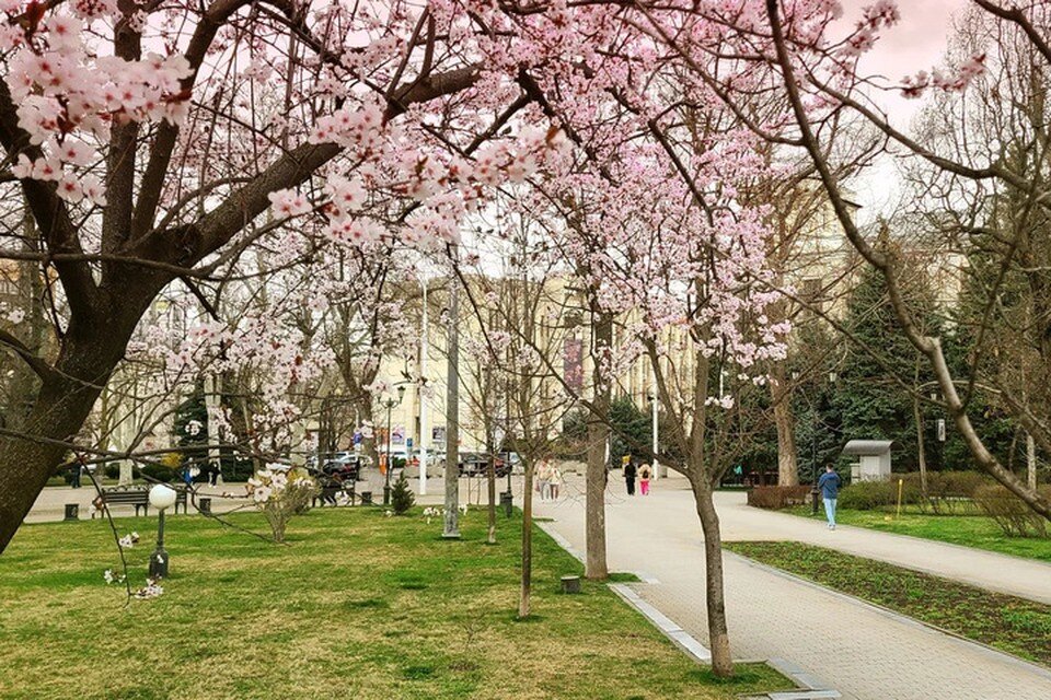     В Краснодаре сейчас самые красивые локации. Сергей НАДЕЖДИН