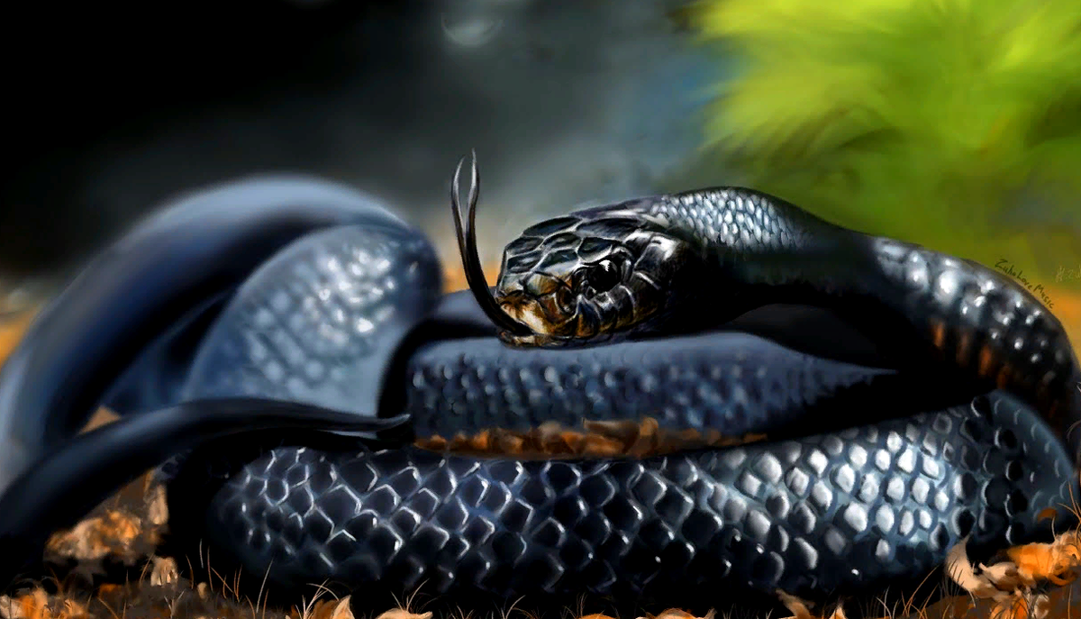 Mamba. Чёрная мамба змея. Ядовитая змея черная мамба. Африканская змея черная мамба. Черная мамба самая ядовитая.