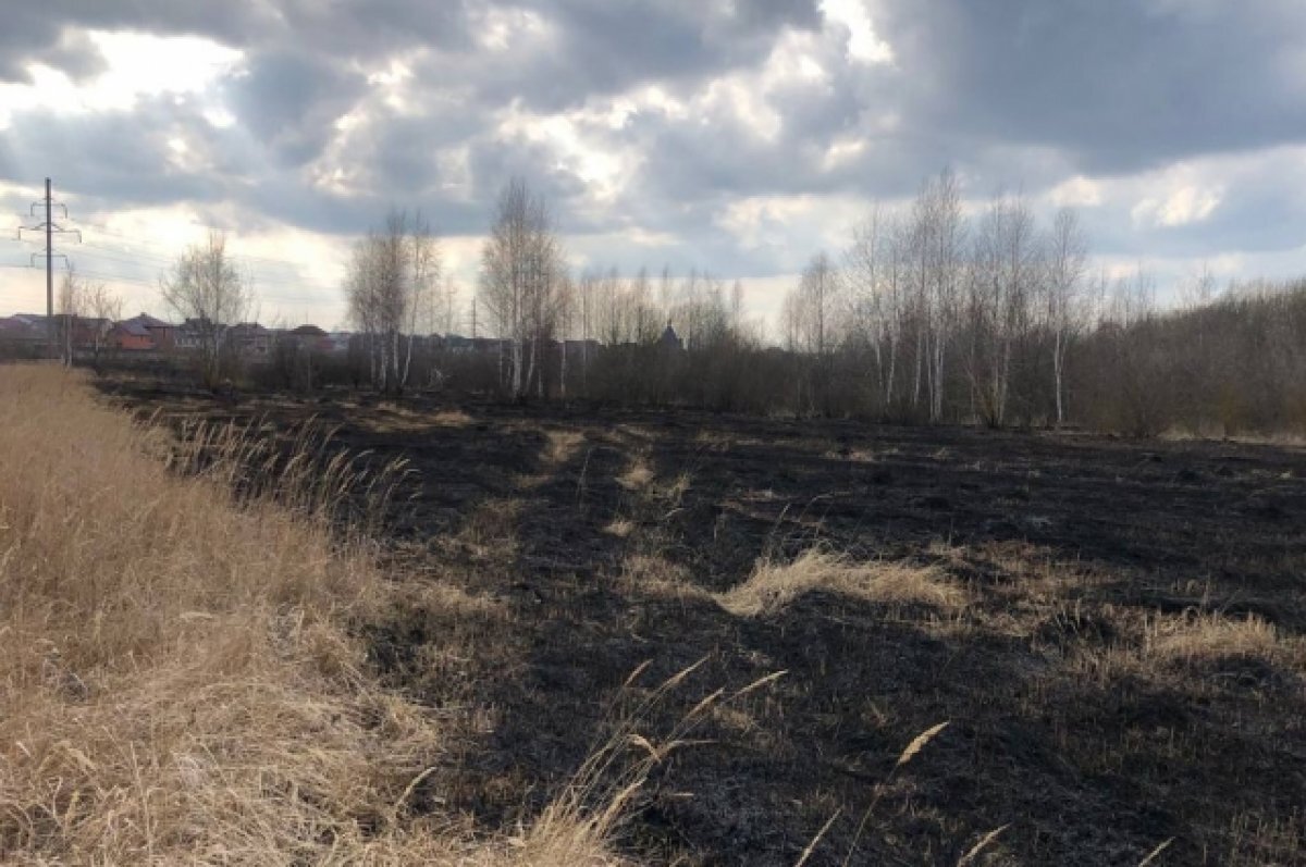    В Пензенской области зафиксированы первые палы травы