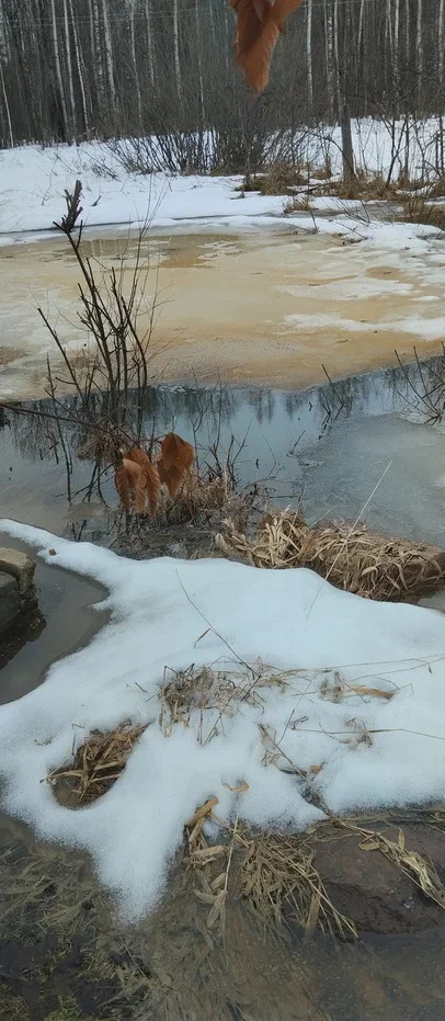 Пруд разлился до бани