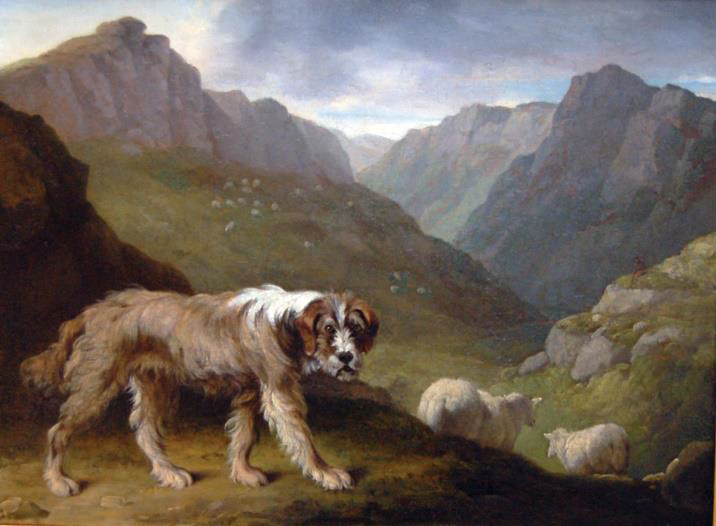 "Пастушья собака" 1803г.