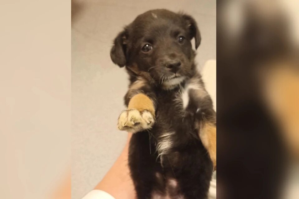 Вот она, счастливица