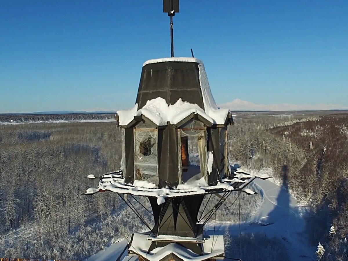 Самая верхняя часть уже заброшенного "Дома доктора Сьюза"