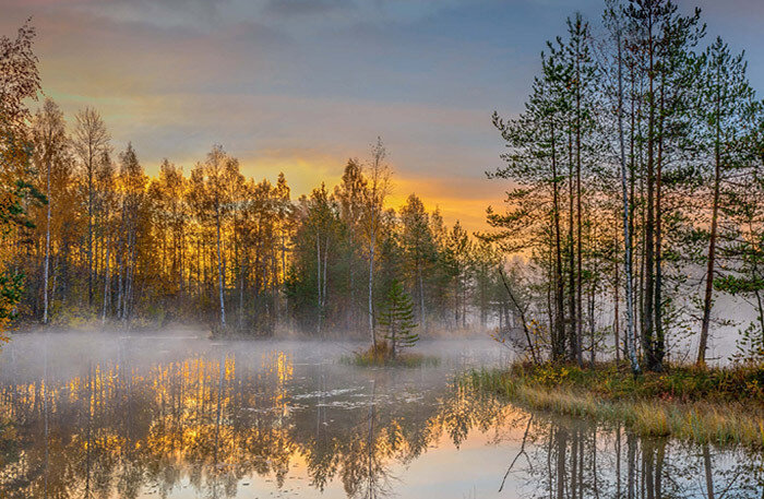    Фото: oopt.spb.ru