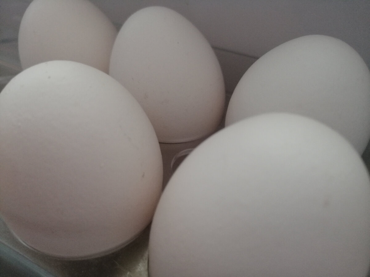 Теперь варю яйца на Пасху без единой трещинки по методу 4-8-10