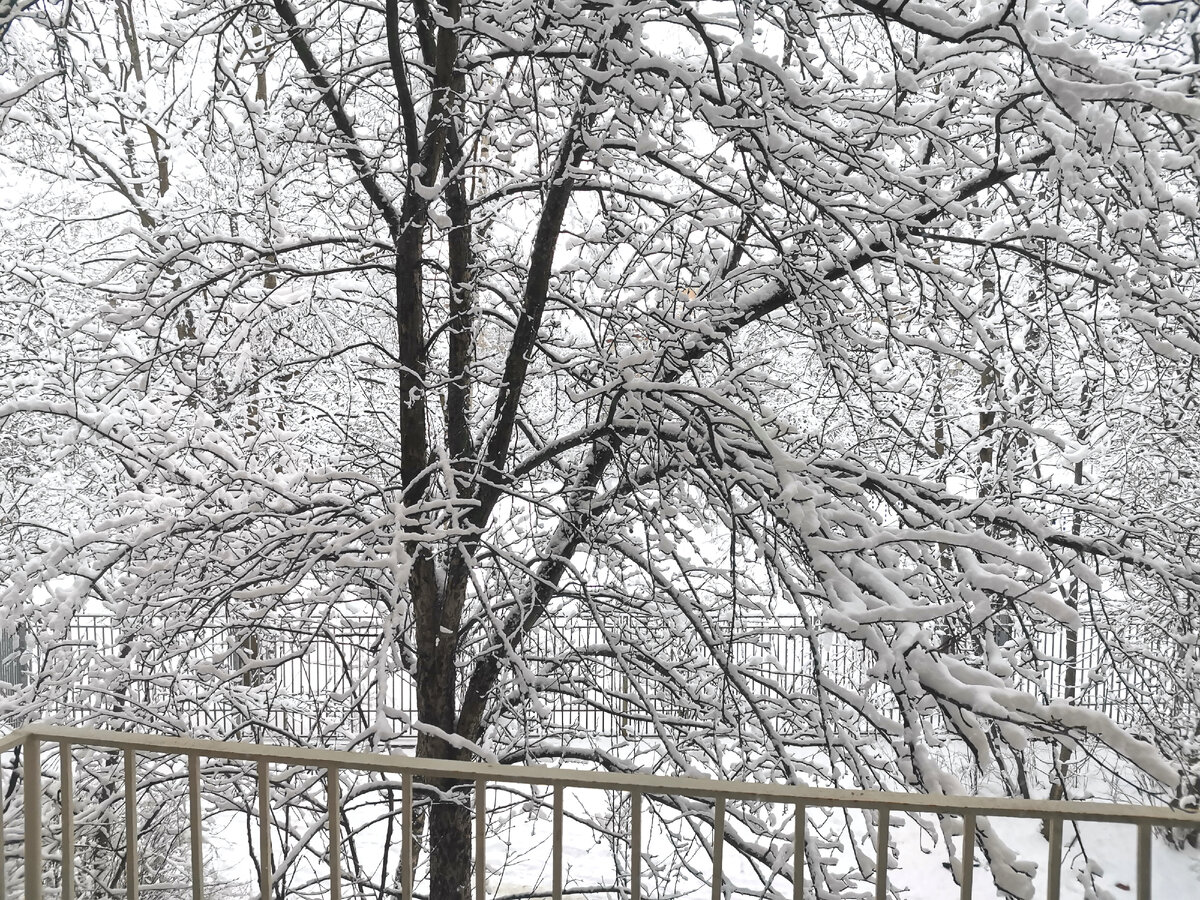 29 марта, все замело