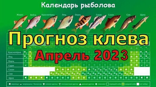 Лунный календарь рыбака на сентябрь 2024