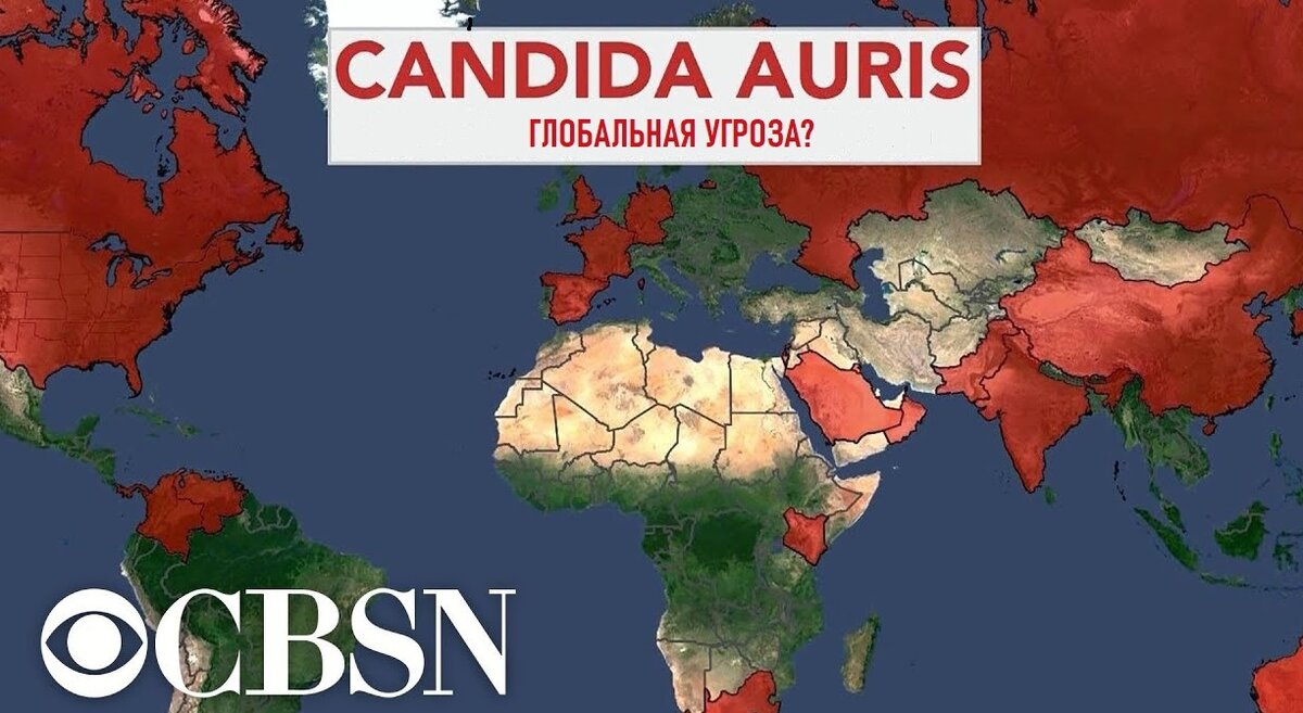 Источник: youtube.com