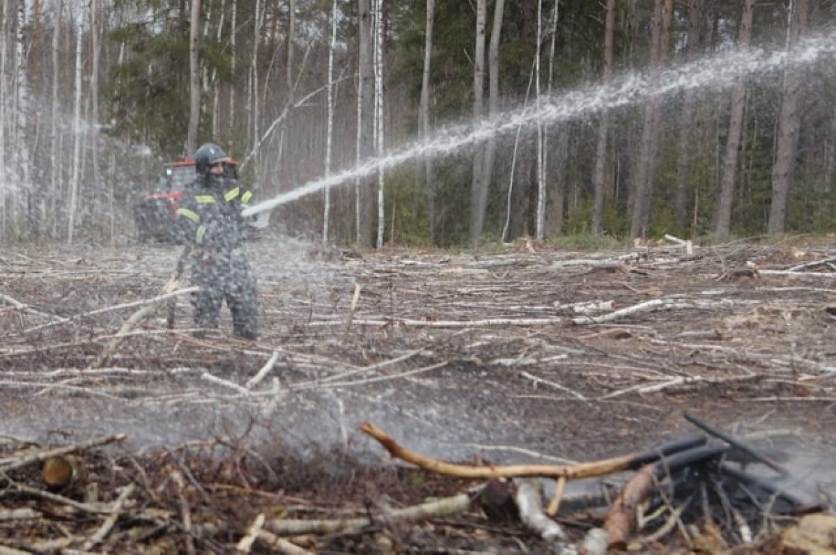    В МЧС Тверской области сообщили подробности пожара, где был обнаружен труп