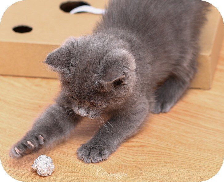 Источник: pinterest.com