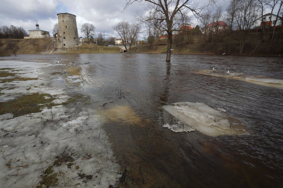   Коммунальная инфраструктура Псковской области справилась с непогодой