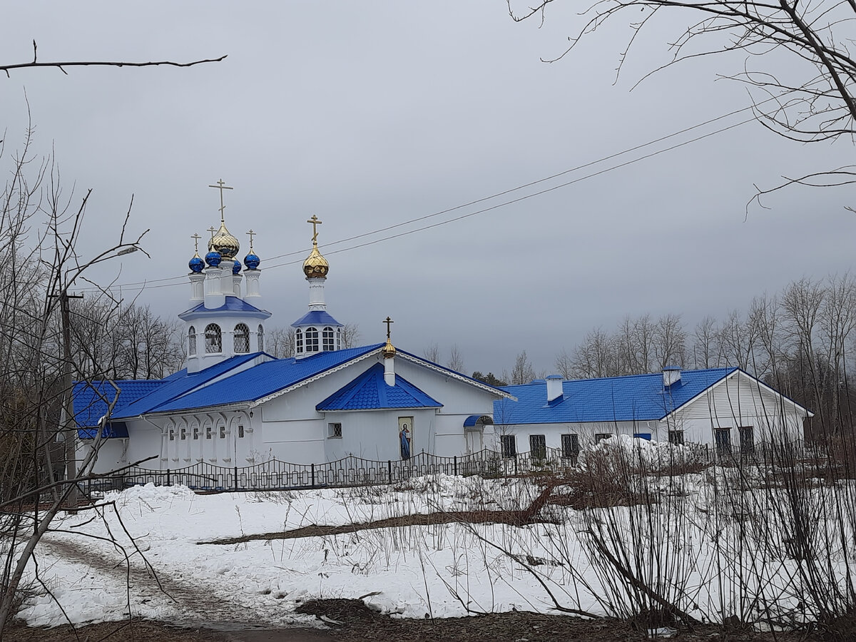 Когда деревья были большими... Возвращение в детство, в поселок Кислотные  дачи | Пенсионерам не сидится | Дзен