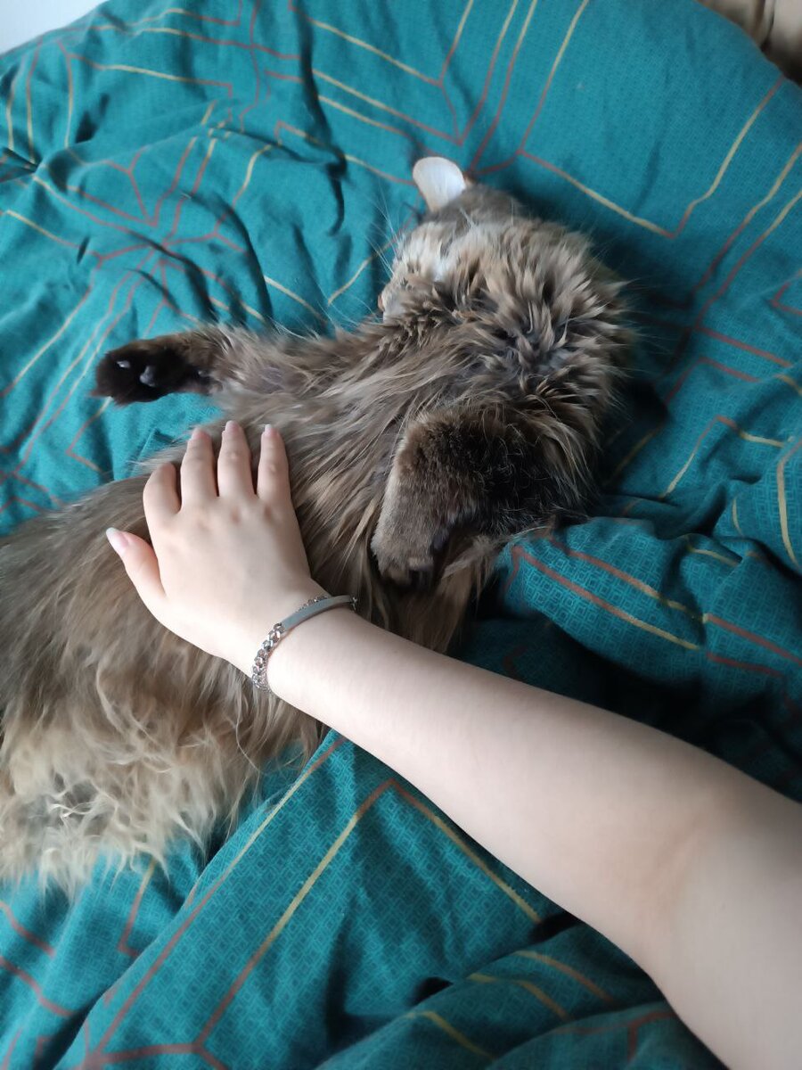 Урсёна радуется, что ей никакого комбикорма не надо