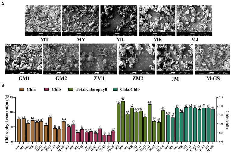 Исследуемая матча. www.ncbi.nlm.nih.gov