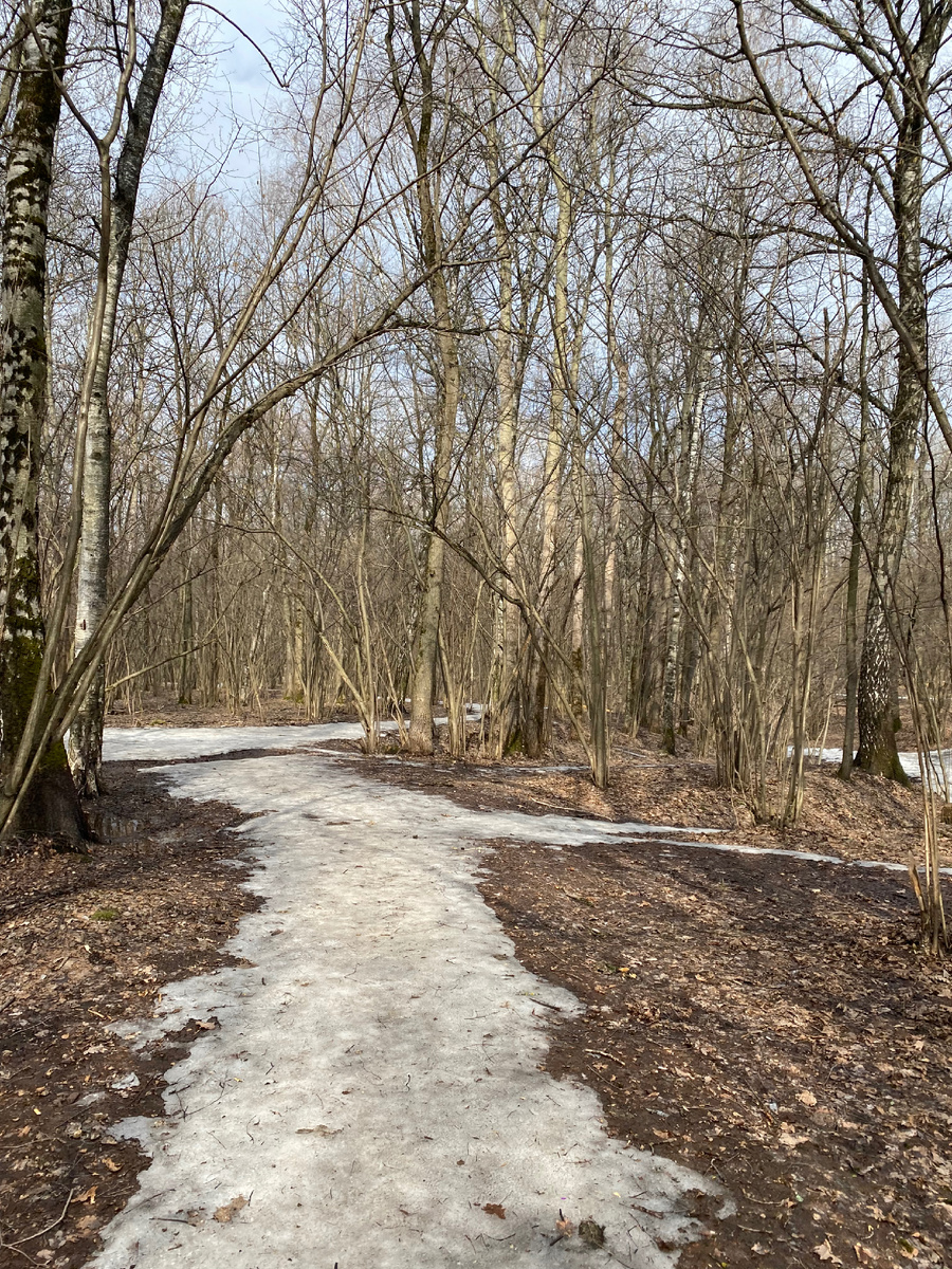 Начало пути показалось не очень-то страшным