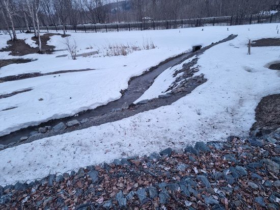 Фото: Анна Ромахина