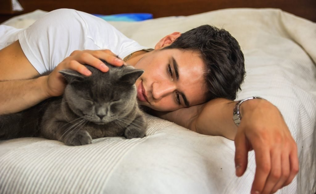 Почему кошки спят на человеке? | Хвост Ньюс