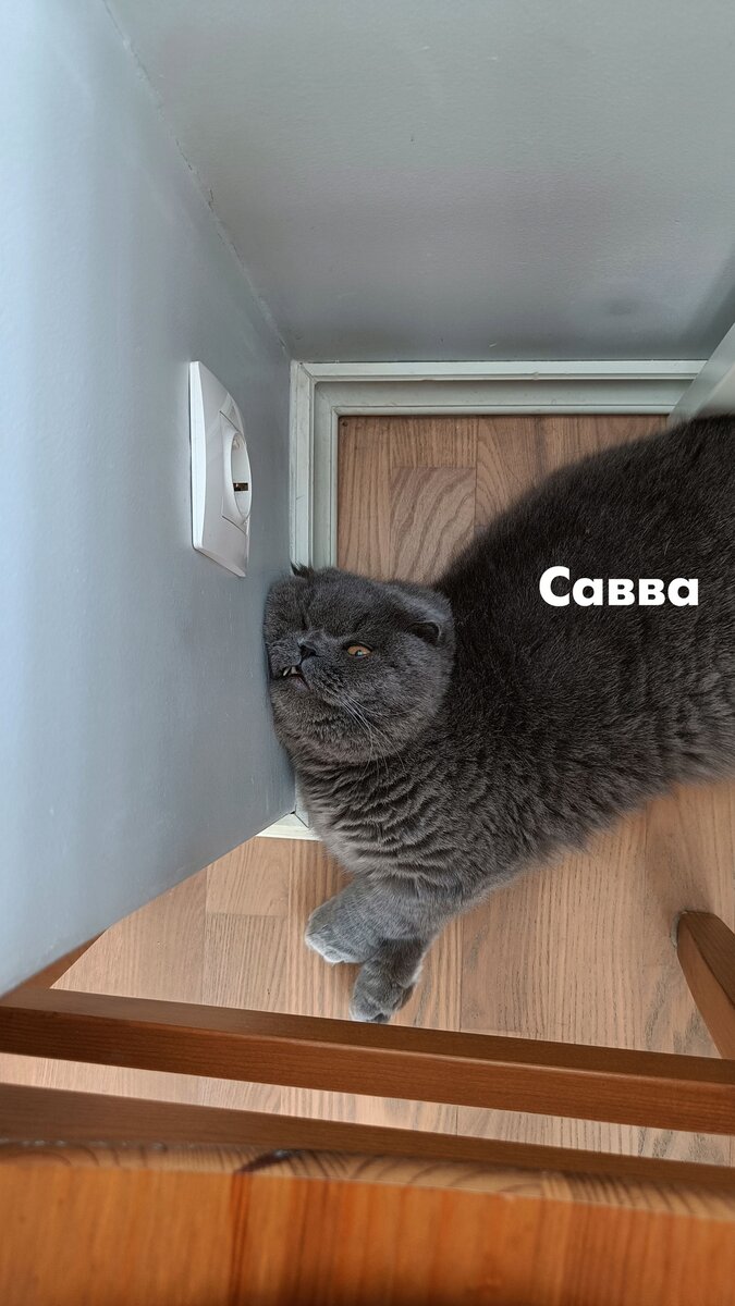 Не хочу завтра на работу..уууу...
