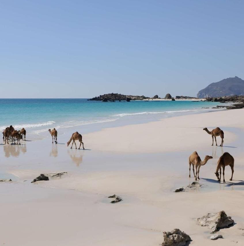 Один из пляжей Омана. 