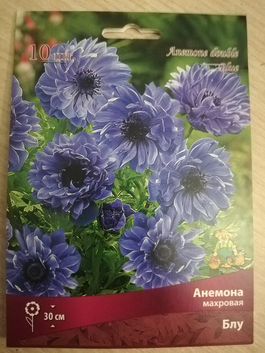 Упаковка от посаженных анемон