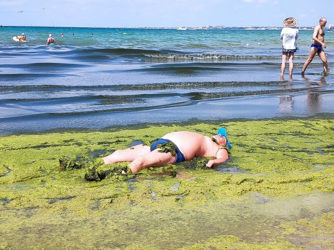 Море в анапе летом