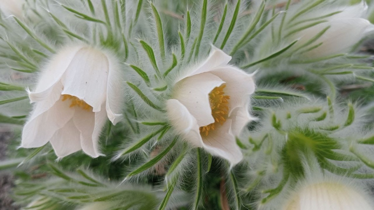 Фото, чисто для красоты. 