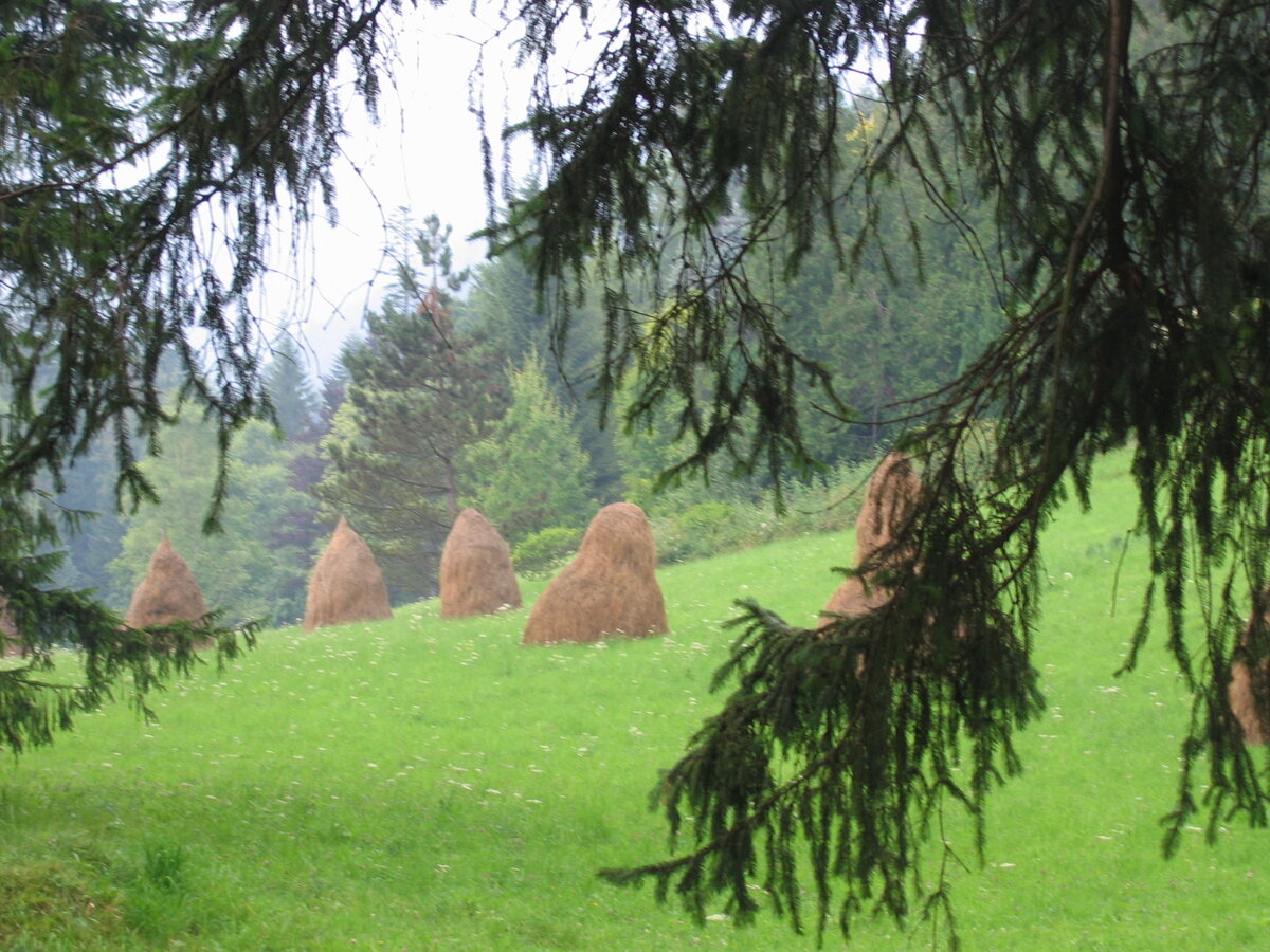 Фото из личного архива