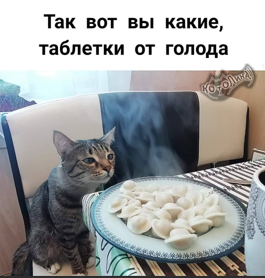 ♦
https://www.facebook.com/permalink.php?story_fbid=pfbid02Med3j9re8oRYhNyyQWhmgGqJ92RJ36p4bZETTejXa6ZSytGZUB8tY5P4niUK8JDHl&id=100064652443849