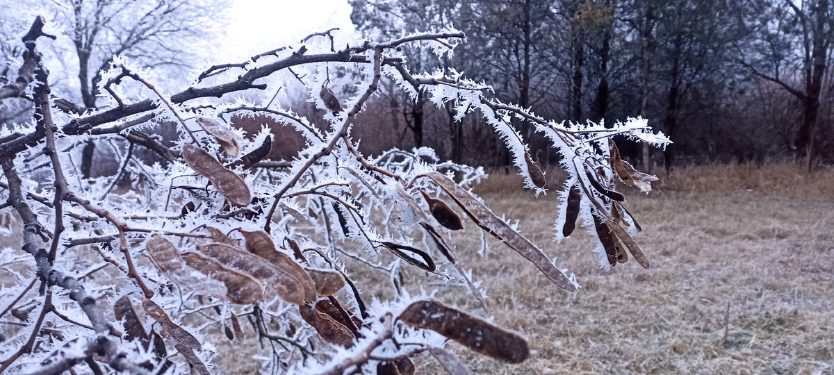 Волшебство