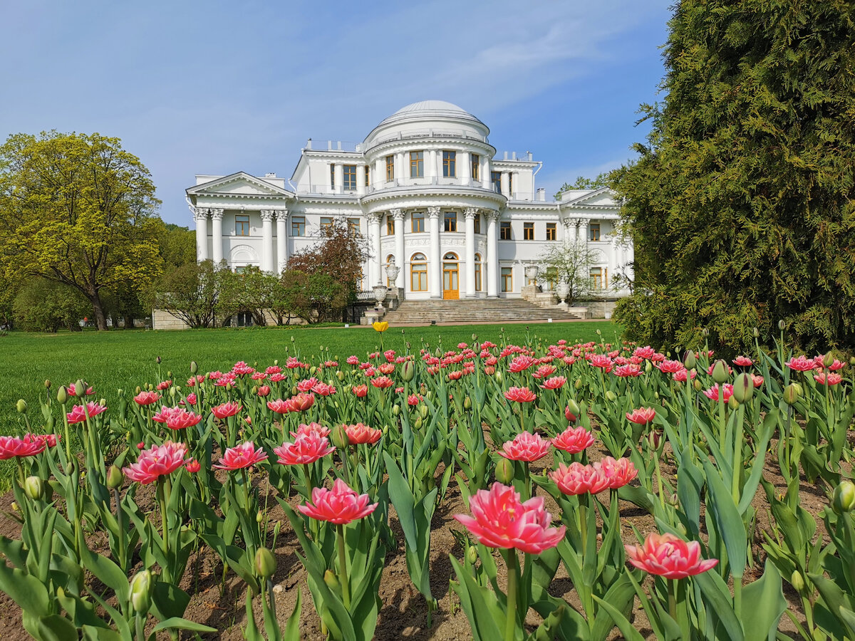 Это 17 мая 2021 года. Посмотрим, как будет в этом году