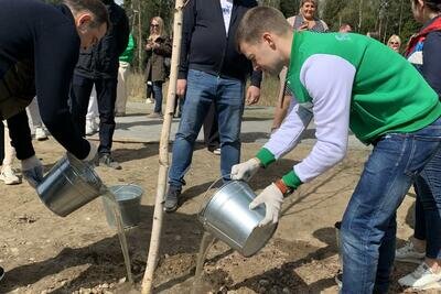    Субботник ©