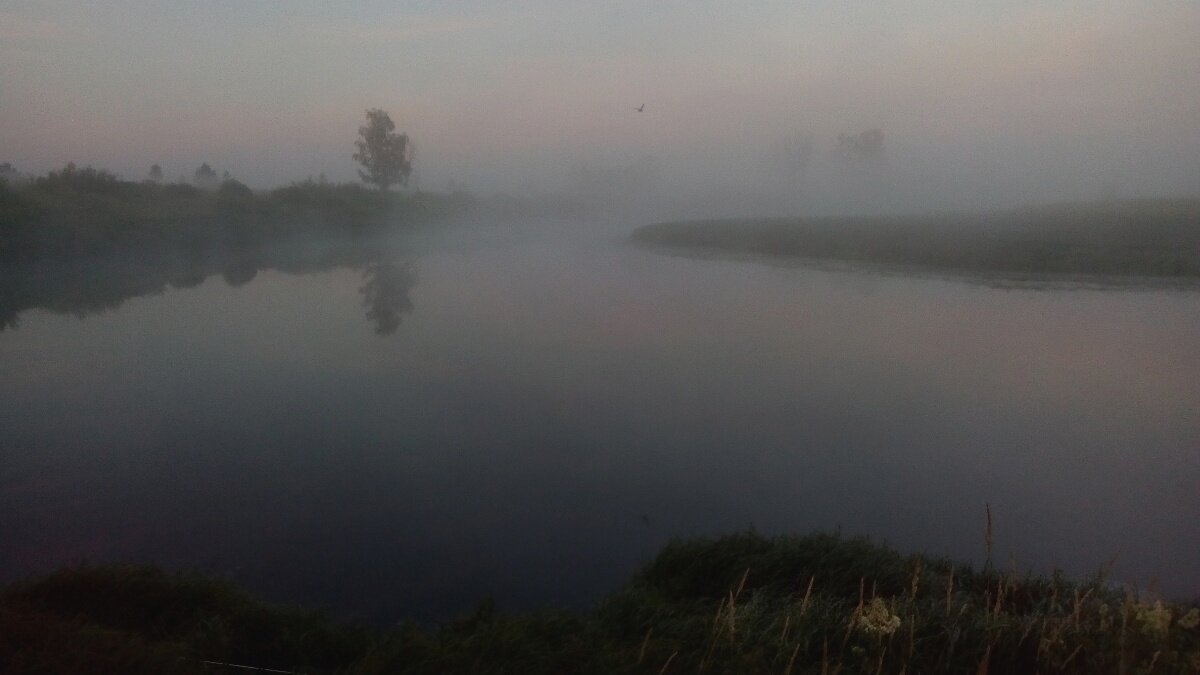 фото Игоря Ковалева