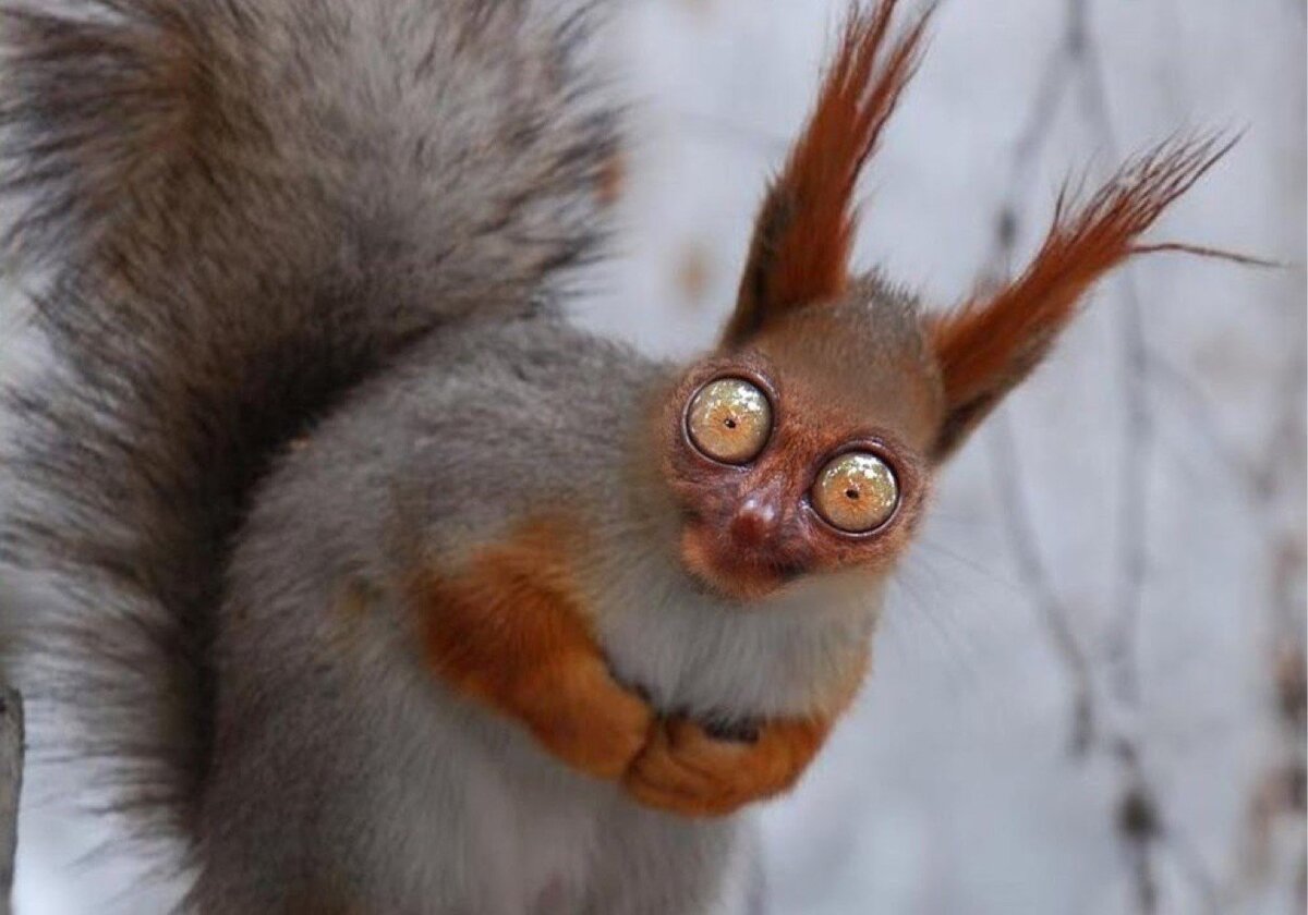 Алкоголь опасен для здоровья! Фото Яндекс картинки открытый источник