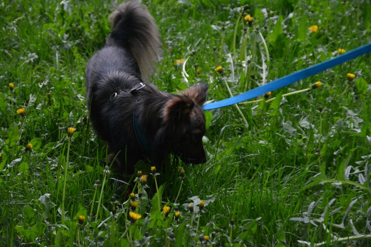 Я не хочу идти в клинику