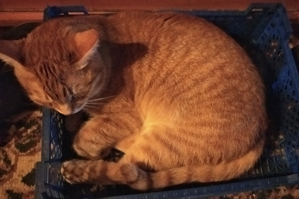 Личное  фото

