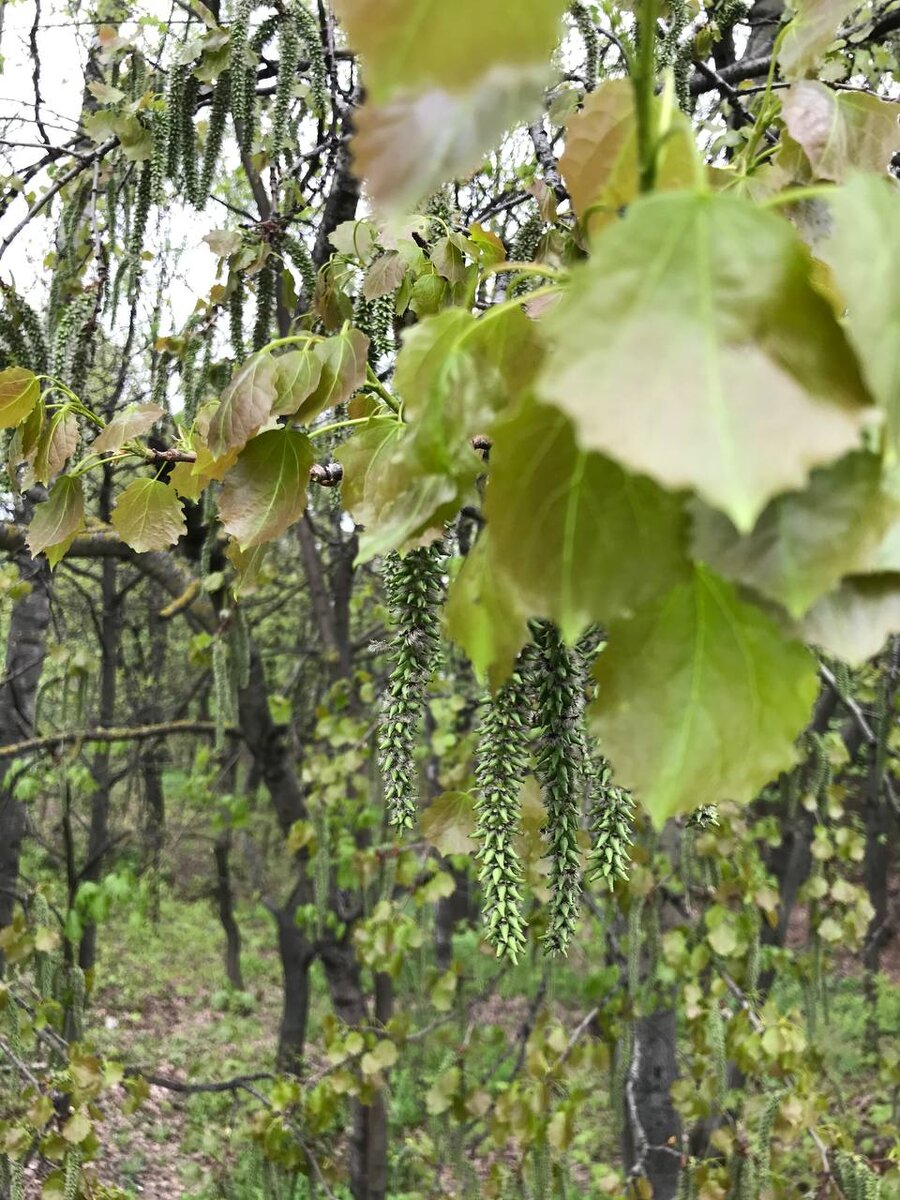 Фото автора канала