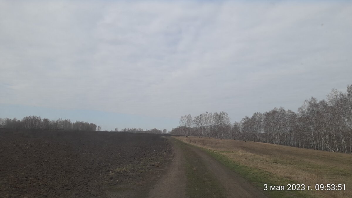 поля