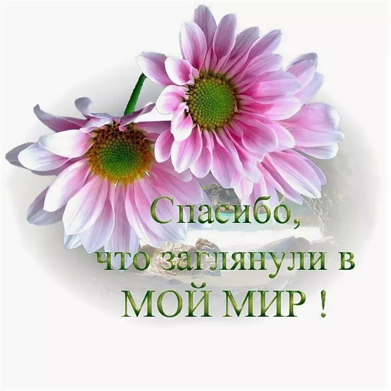 Картинка из открытого доступа