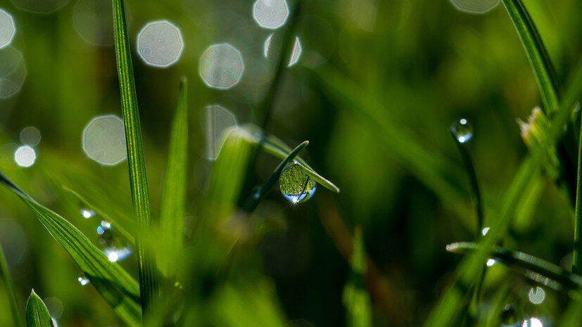   Gettyimages.ru Molly Moore / 500px