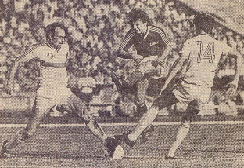 фото из открытых источников.